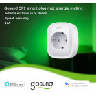 GoSund SP1 Smart 16A slimme wifi plug stekker